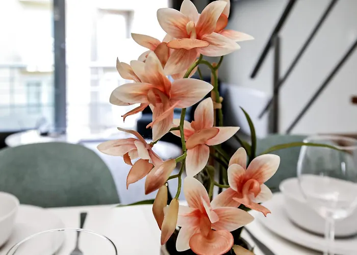 Residentie Zeezicht 公寓