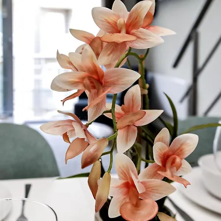 Residentie Zeezicht Апартаменты